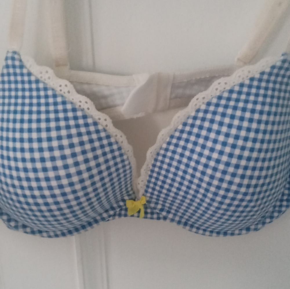 Victoria's Secret Y2K Cotton 36C Push Up Bra. Blue Gingham. Excellent Condition.